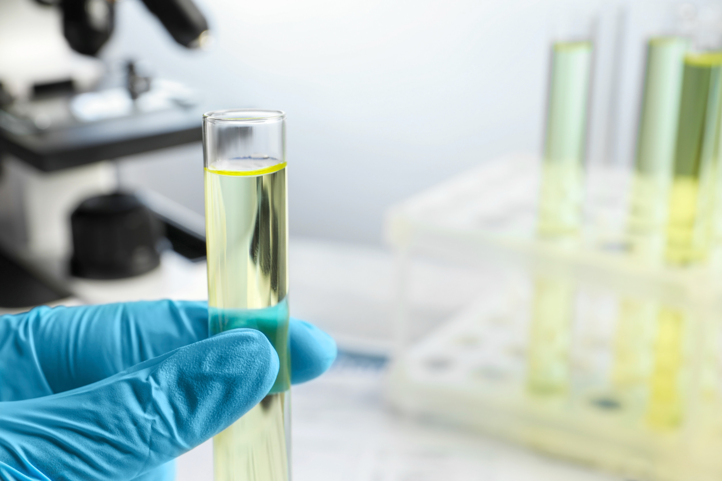 Florida Employment Laws on Drug Testing